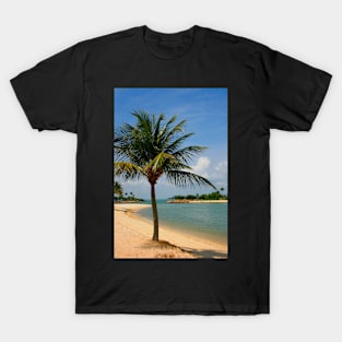 Palm Beach Paradise T-Shirt